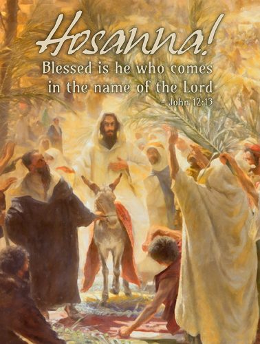 Palm Sunday Hosanna Cover