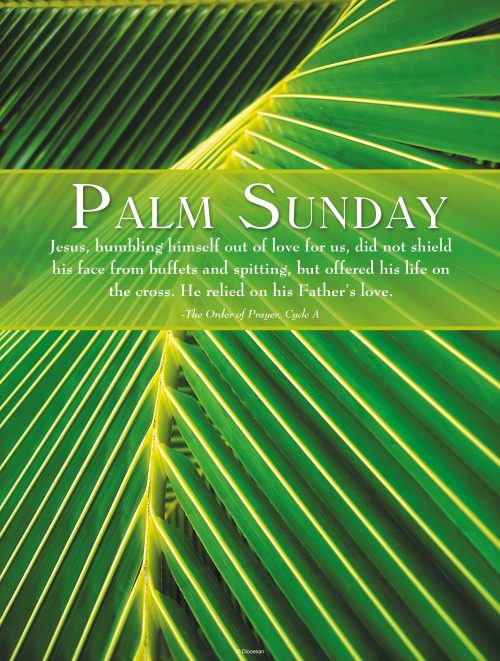 Palm Sunday Palm