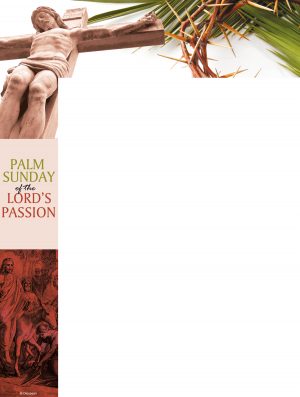 Palm Sunday of the Lord's Passion - Wrapper