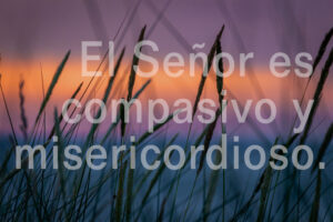Third Sunday of Lent - Response - Spanish