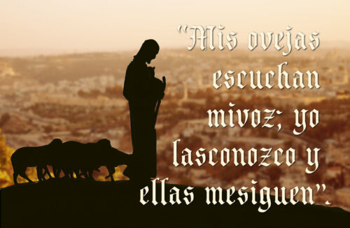 Fourth Sunday of Easter - Gospel - Spanish